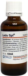 Pascoe Ledu Similiaplex 50Ml pascoe kopen in de aanbieding Pascoe Ledu Similiaplex 50Ml pascoe kopen in de aanbieding