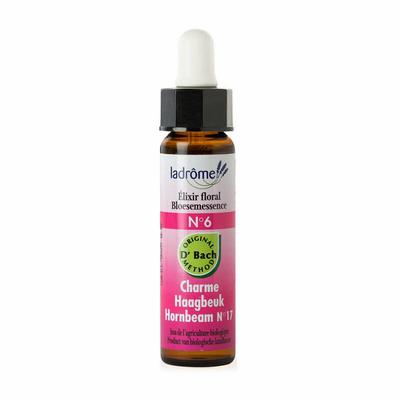 Ladrome Hornbeam Haagbeuk 6 10Ml ladrome kopen in de aanbieding Ladrome Hornbeam Haagbeuk 6 10Ml ladrome kopen in de aanbieding