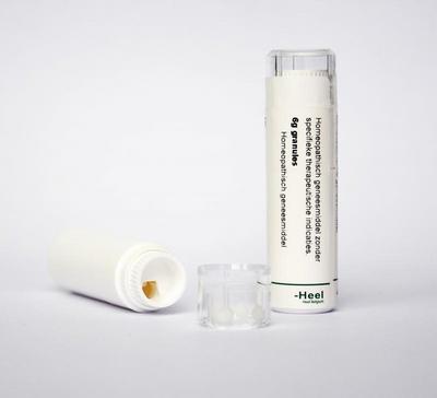 Homeoden Heel Magnesium Phosphoricum D6 6G homeoden heel kopen in de aanbieding Homeoden Heel Magnesium Phosphoricum D6 6G homeoden heel kopen in de aanbieding