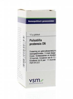 Vsm Pulsatilla Pratensis D6 10G vsm kopen in de aanbieding Vsm Pulsatilla Pratensis D6 10G vsm kopen in de aanbieding